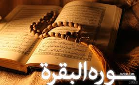 جلسه اول